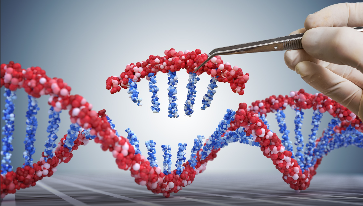 Human Nuclear Genome Editing